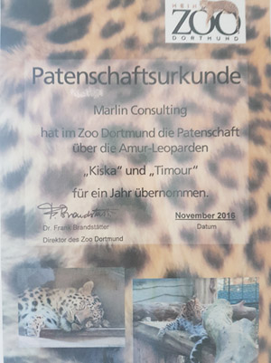 Patenschaft für Kiska und Timour